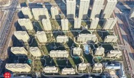齐河绿城爆料最新消息,揭秘项目进展与未来规划