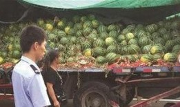 临河吃瓜最新事件爆料是真的吗,最新爆料真相揭秘