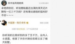 卓伟最新爆料鹿晗事件,卓伟最新爆料引发热议