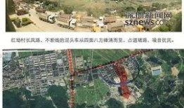 深圳时事爆料最新消息新闻,科技巨头新动向引发行业热议