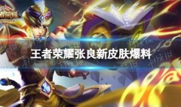 最新王者皮肤爆料内容,神秘新皮肤惊艳亮相，独家爆料带你领略英雄风采