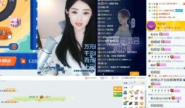 佳润最新爆料视频,揭秘行业黑幕，真相令人震惊！