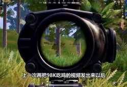 最新蹦蹦枪爆料,蹦蹦枪事件深度剖析